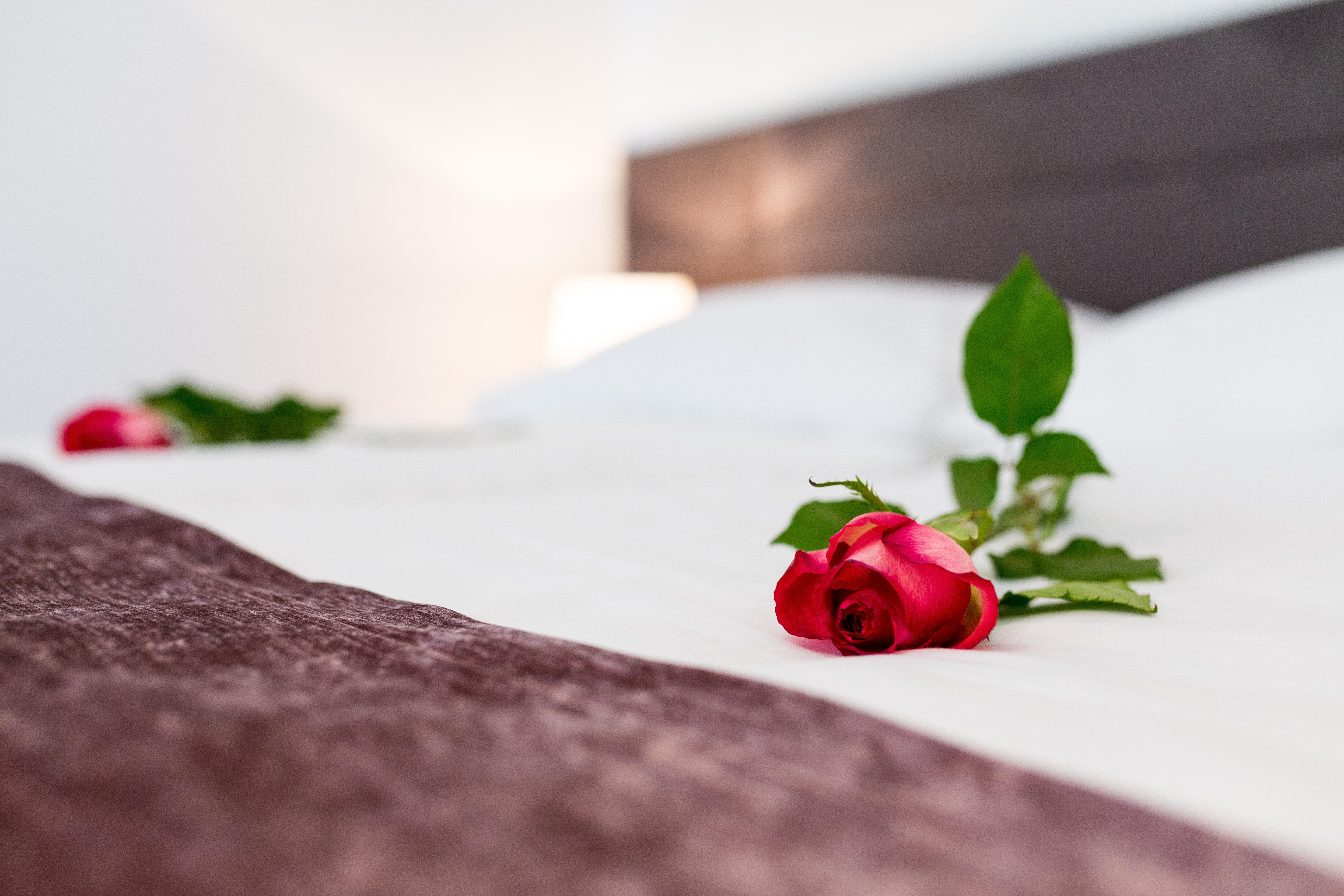 Starlight Luxury Rooms Split Exterior foto